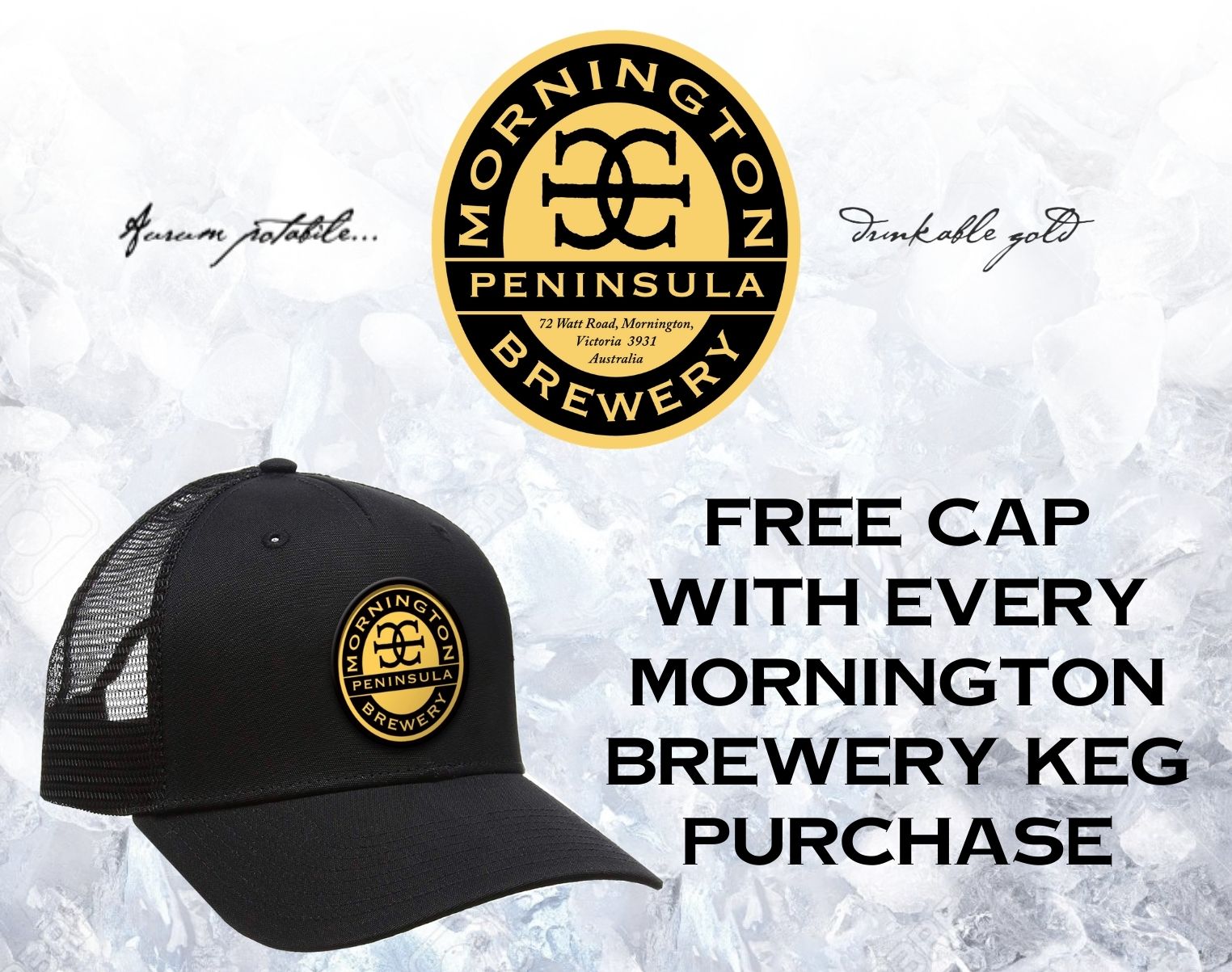 Mornington Peninsula Brown Ale<br>50lt Keg